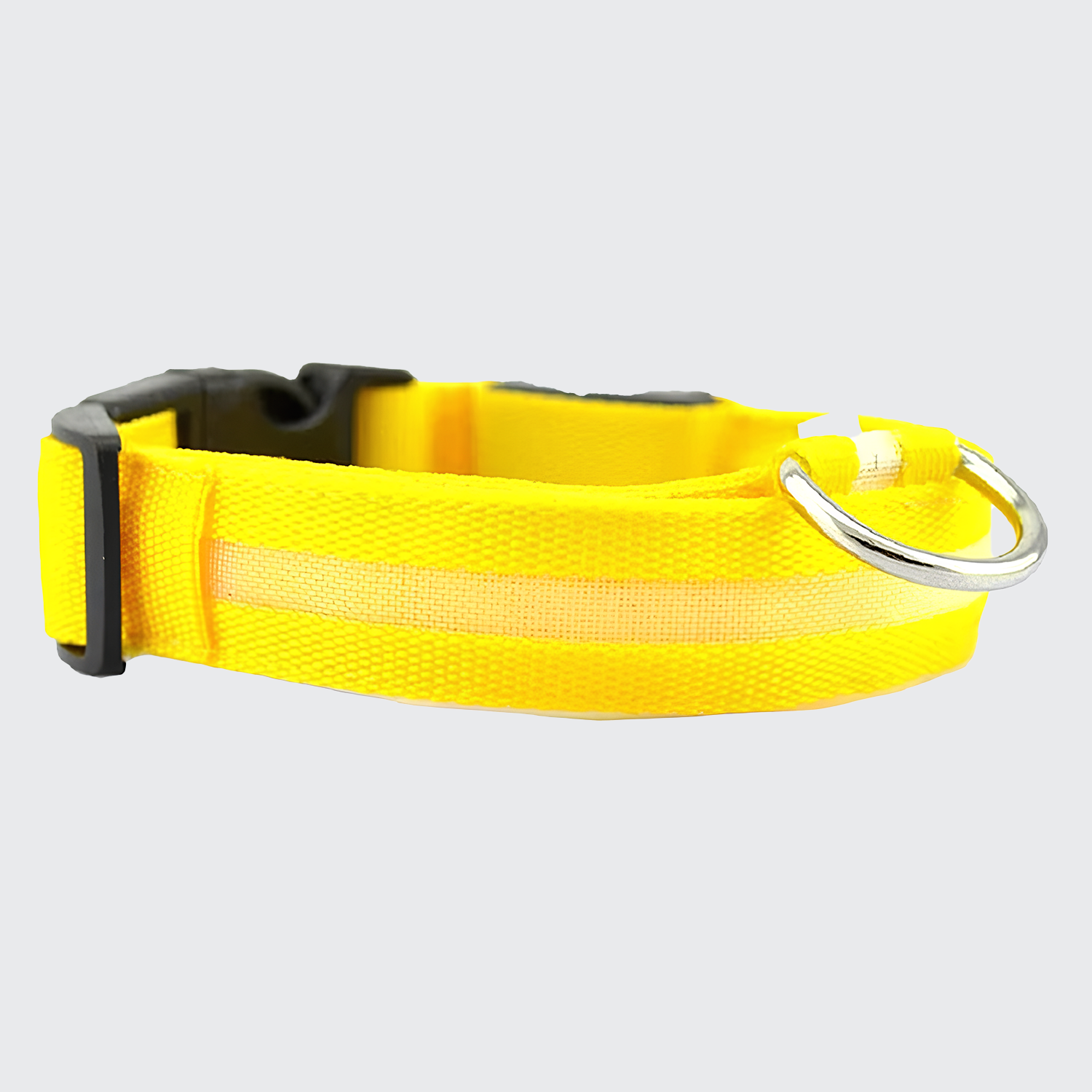 LED Secure Dog Collar - USB Rechargeable, High Visibility & Durable