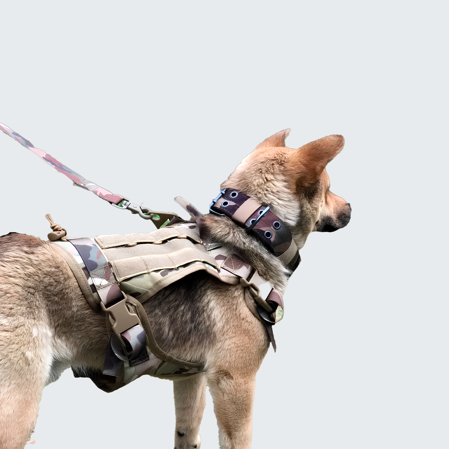 Robust K9 Dog Harness Vest with Leash - Padded, Durable & Medium/Large Breeds