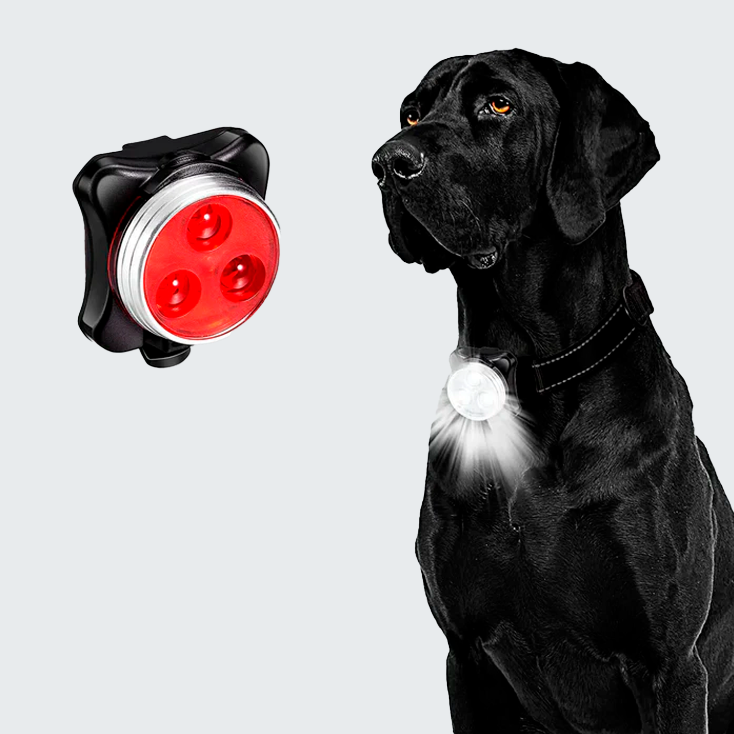 LED Dog Collar Light - USB Rechargeable, Rainproof & 4 Modes