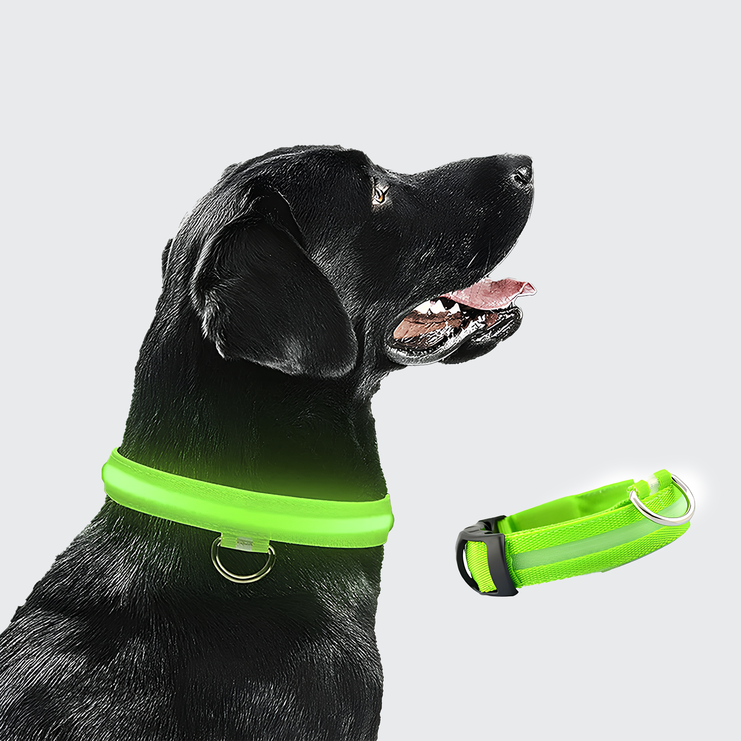 LED Secure Dog Collar - USB Rechargeable, High Visibility & Durable