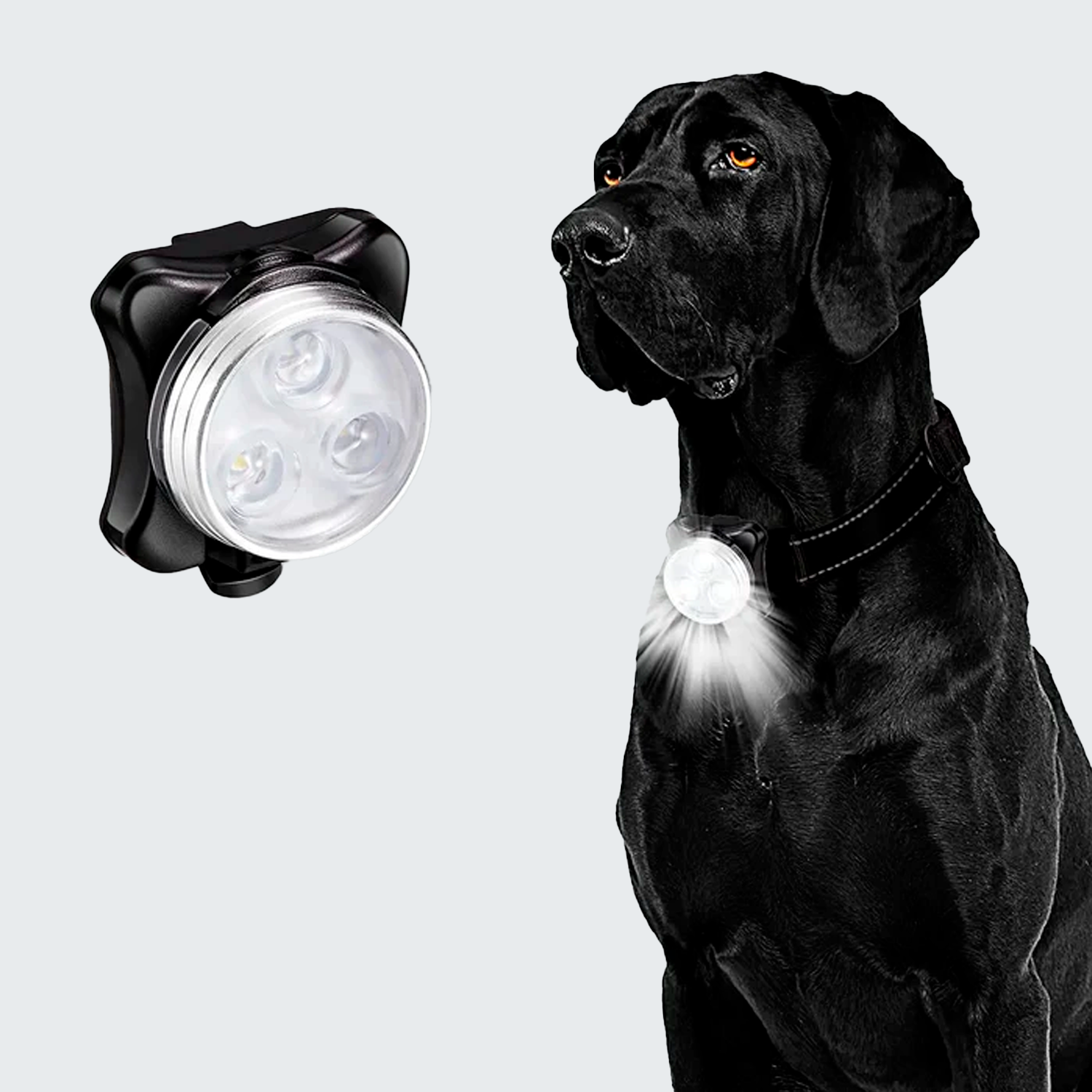 LED Dog Collar Light - USB Rechargeable, Rainproof & 4 Modes